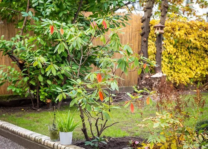 酒店 Arco Smart 3*