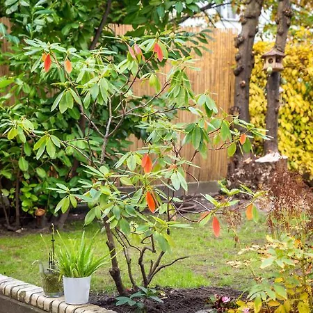 מלון Arco Smart 3*